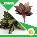 china UV-proof artificial branches and leaves for supermarket decorate